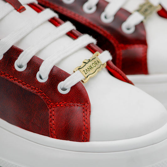 MODELO SAN FRANCISCO