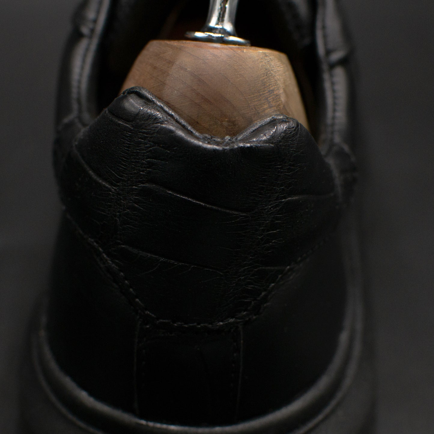 AME ALLIGATOR