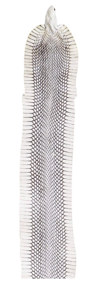 FUNDA / CASE / CARCASA PARA CELULAR EN PIEL / CUERO EXÓTIC DE COBRA -CBR093R